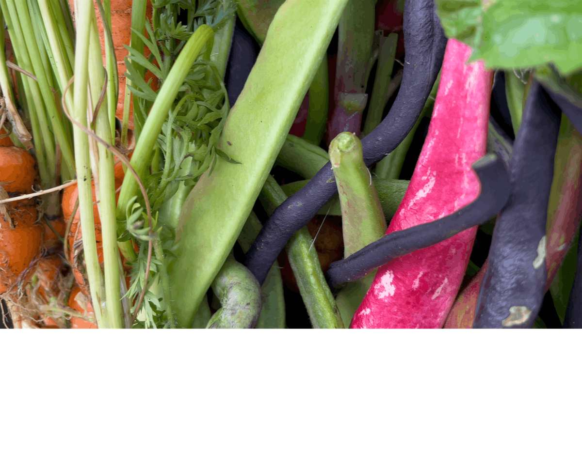 All About Beans!, 3 December | Event in Glasgow | AllEvents