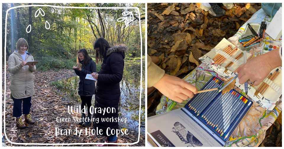 Green Sketching Brandy Hole Copse, Chichester, Brandy Hole Copse, Chichester, March 23 2024