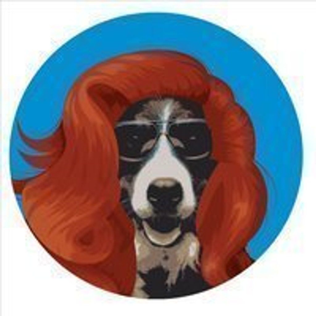 Hare of the Dog - Kings Heath Comedy Fest Closing Show!, 27 July | Event in Birmingham | AllEvents