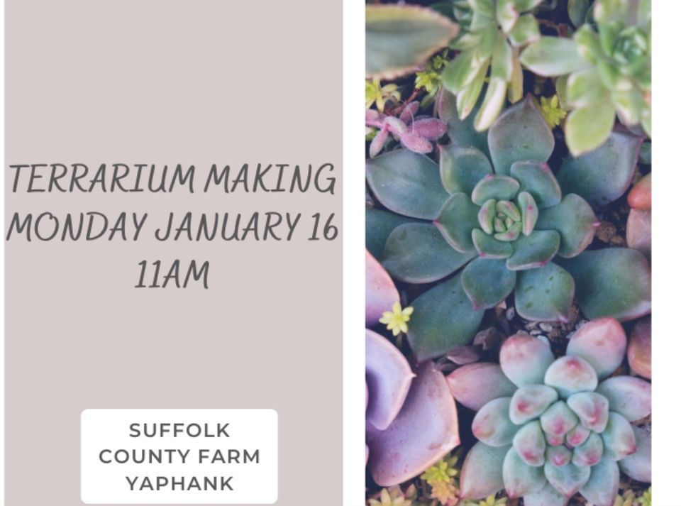 Terrarium Making, Suffolk County Farm & Education Center, Yaphank, January 16 2023 AllEvents.in