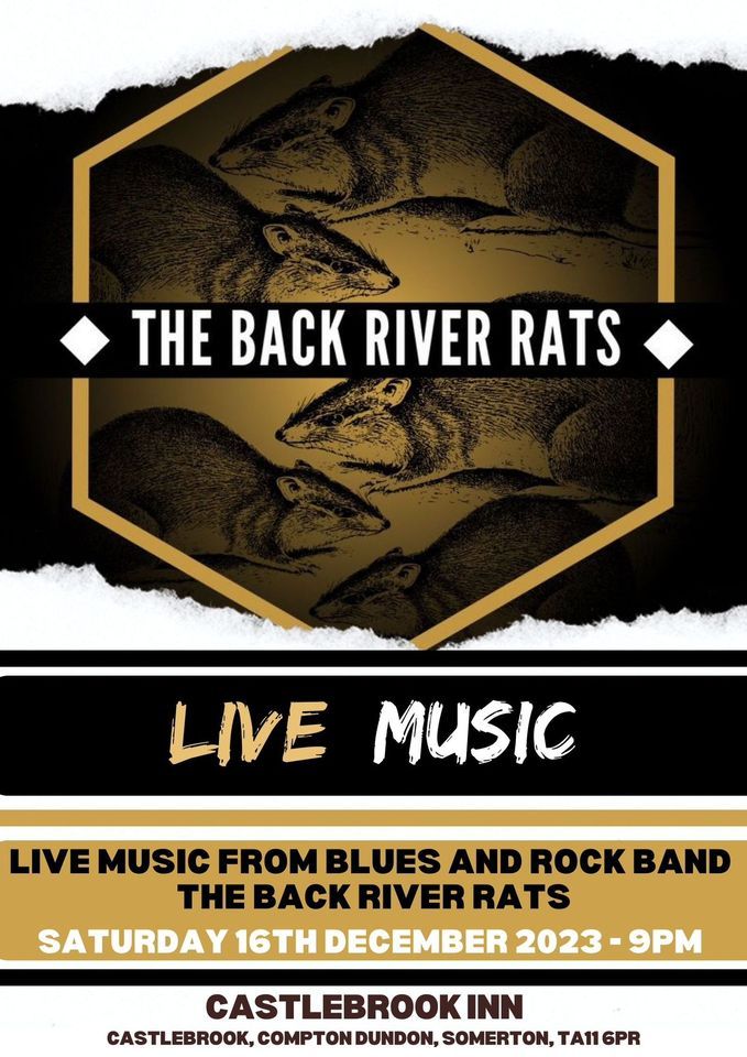 The Back River Rats The Castlebrook Inn, The Castlebrook Inn, Somerton, December 16 2023