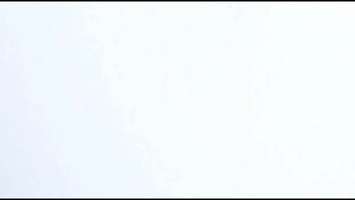 Jazzy Bazz in Bruxelles - Brussel, 3 June | Event in Brussels | AllEvents