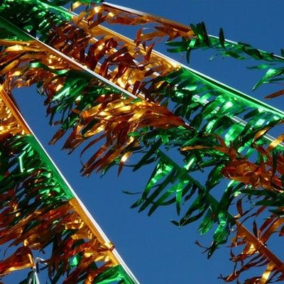 Ticket Committe Code Needed - Fairgrounds & Carnival Package