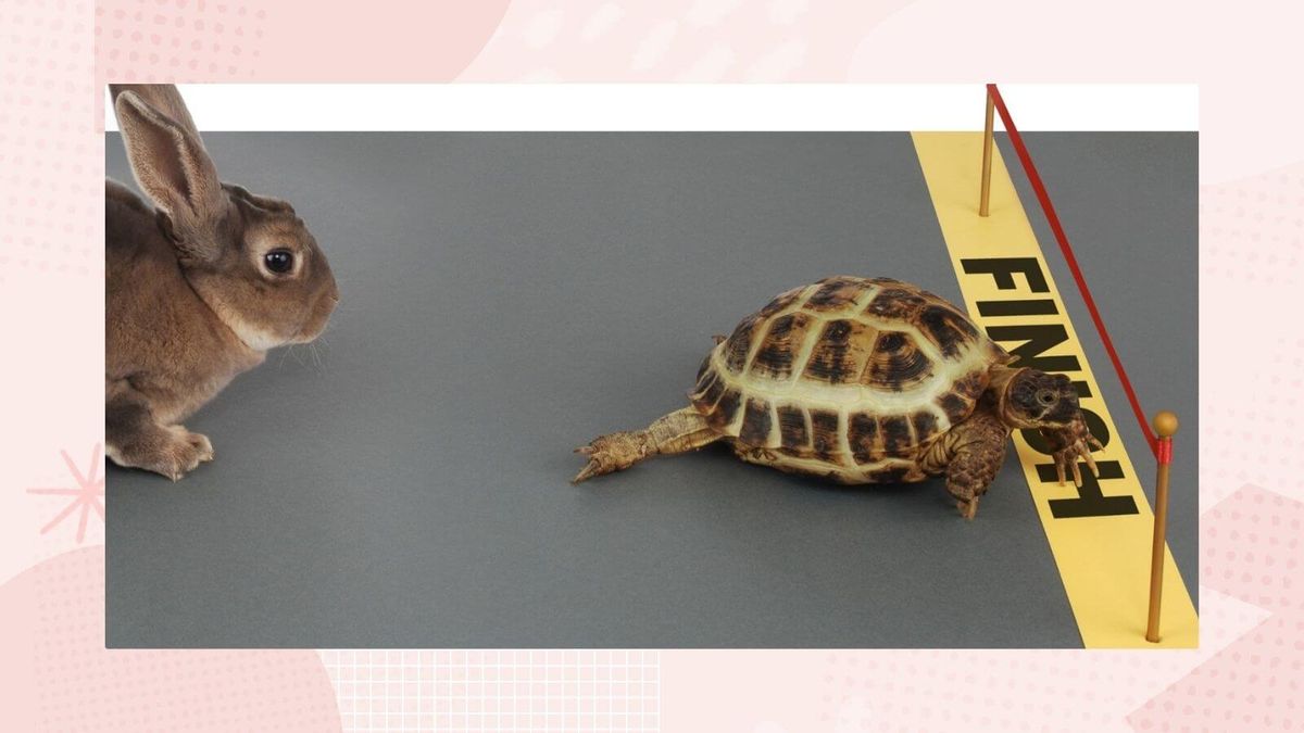 Hare and Tortoise, 9 May | Event in Lebanon | AllEvents