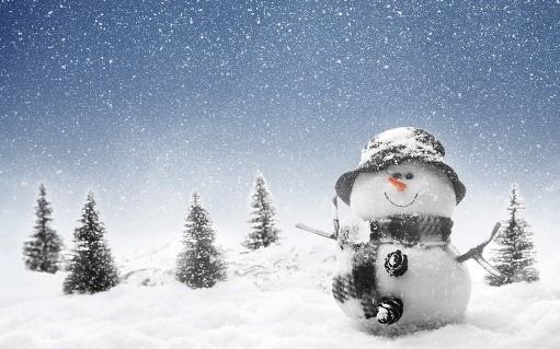 Winter Wonderland Vendor Show Creel Bay Golf Course Devils Lake 