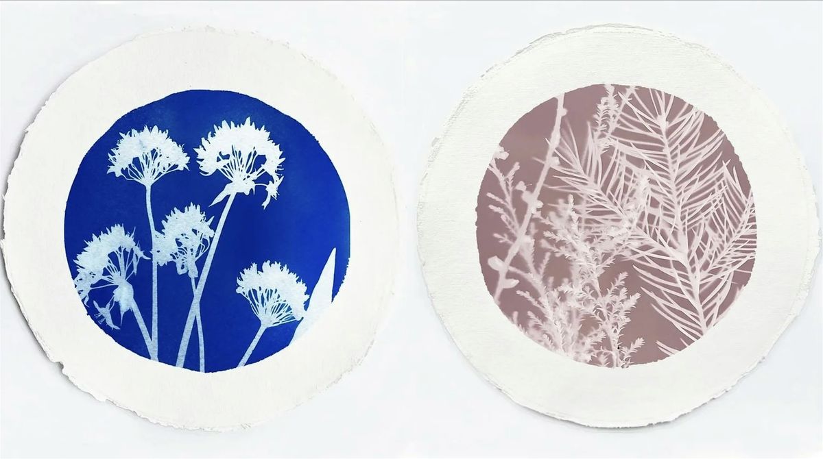 Cyanotype, Lumen and Anthotype Printing Workshop, 17 January | Event in Bradford | AllEvents