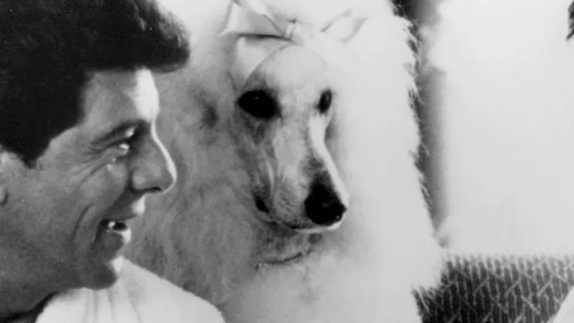 Frankie Avalon in Cerritos, 1 February | Event in Cerritos | AllEvents
