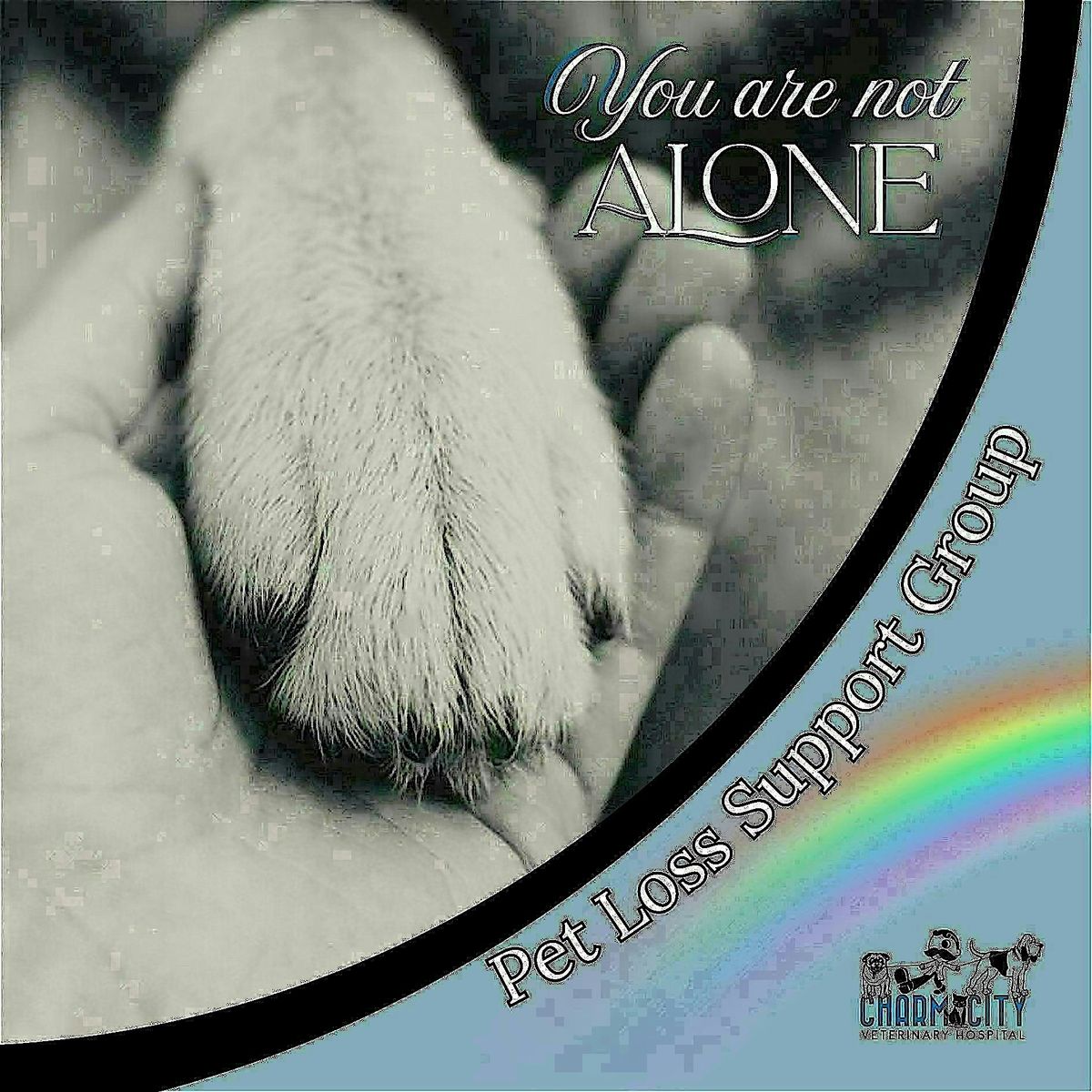 Copy of Pet Loss Support Group - Baltimore, 15 January | Event in Baltimore | AllEvents