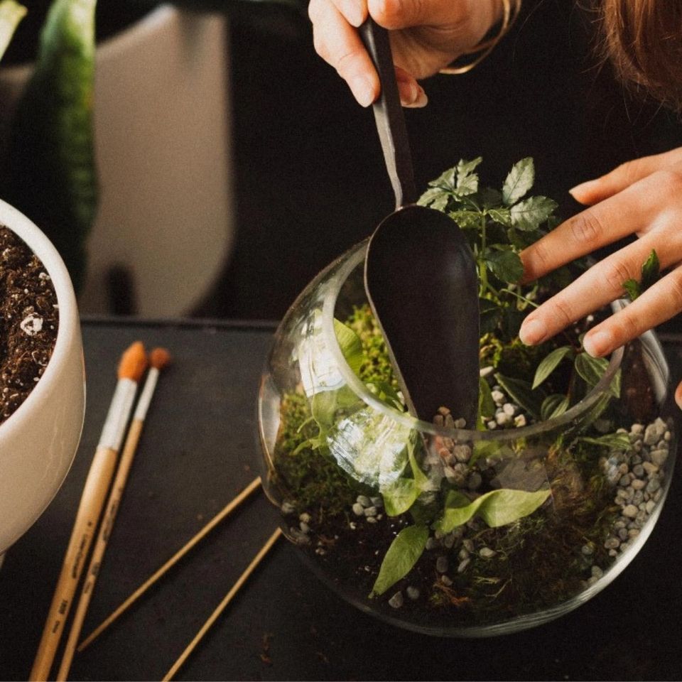 Creating Closed Terrariums , Center for Urban Horticulture, Seattle