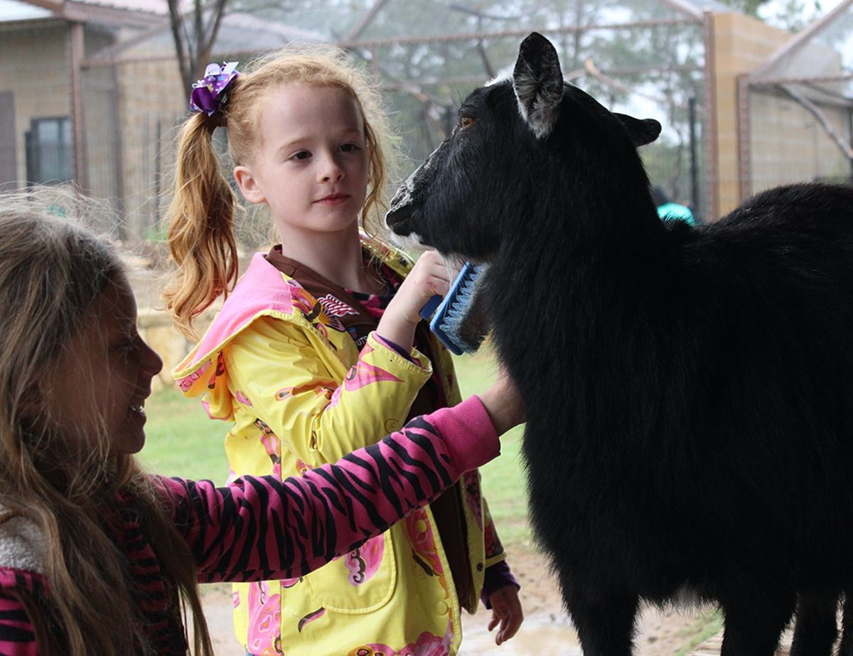 19th February 2022 Events In Cincinnati Events Near Cincinnati 2022