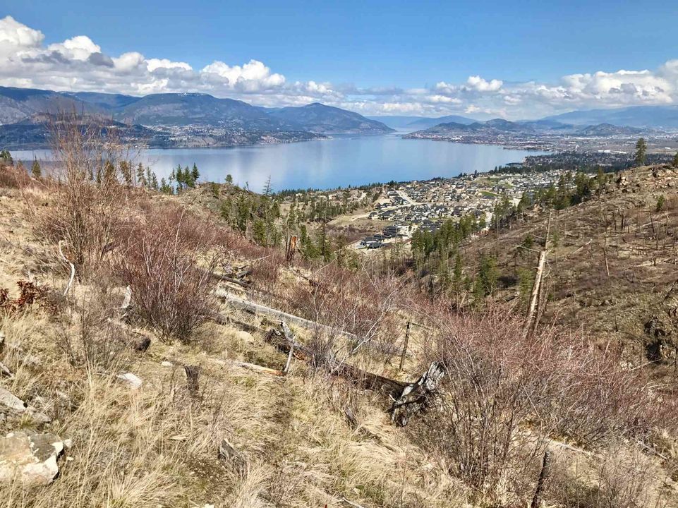 Hike Lebanon Creek to Cedar Mountain, Kelowna, 28 May 2023 AllEvents.in