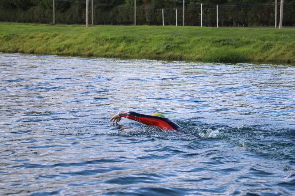 willowgate open water swimming