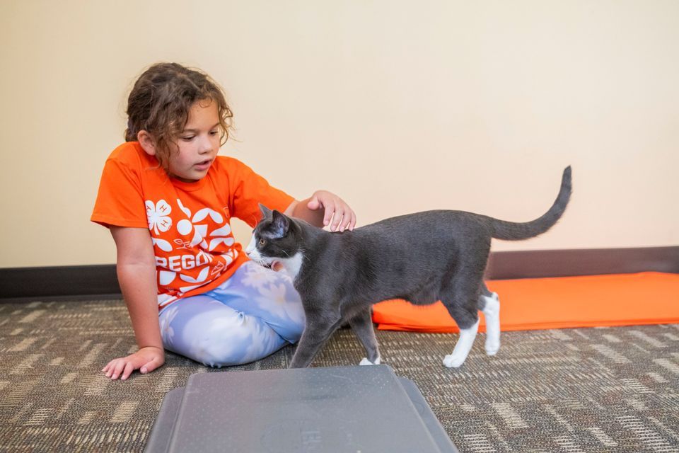 Intro to Companion Pets 4H STEP Class, OSU Extension Washington County