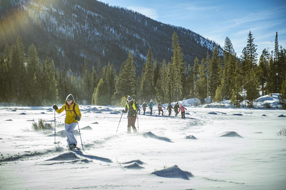L2S members snowshoe adventure, 1 January | Event in Bailey | AllEvents