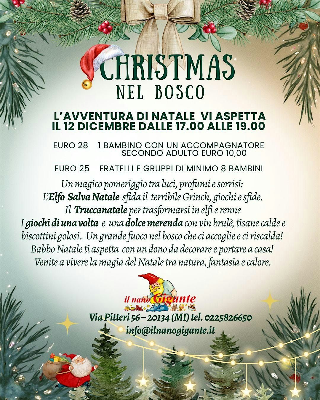 Christmas nel bosco, 12 December | Event in Milano | AllEvents