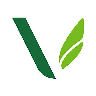 The Village Dallas logo