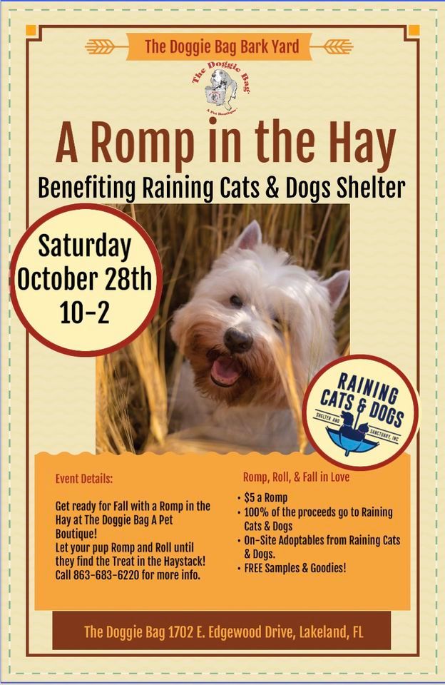 A Romp in the Hay, The Doggie Bag A Pet Boutique, Lakeland, 28 October