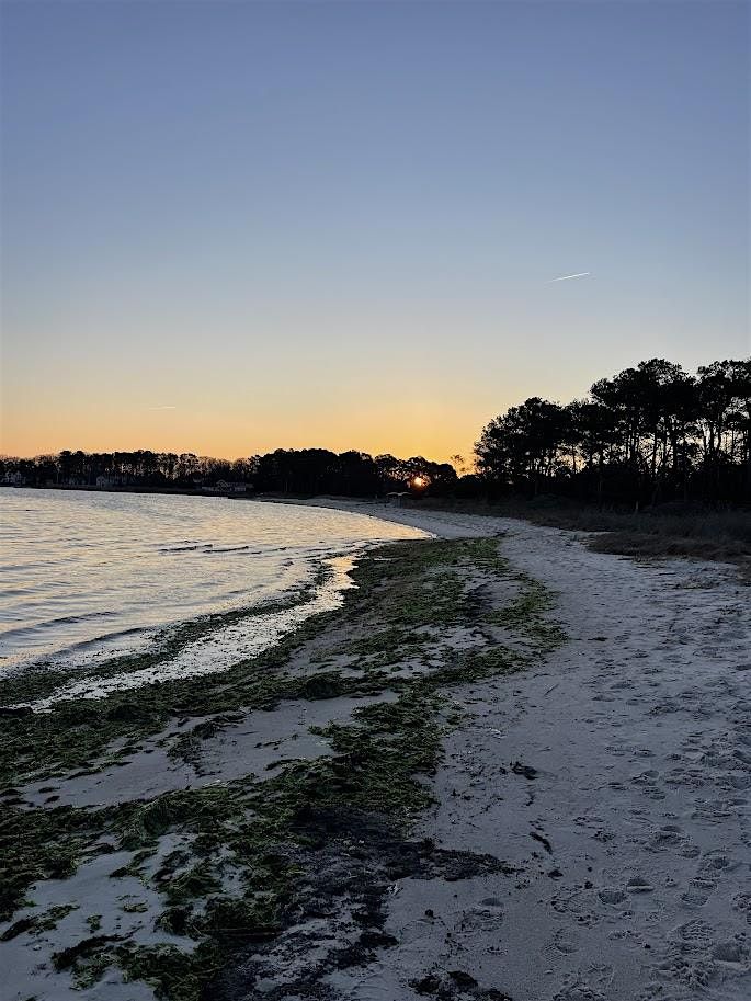 Explore an Estuary | Event in Ocean View | AllEvents