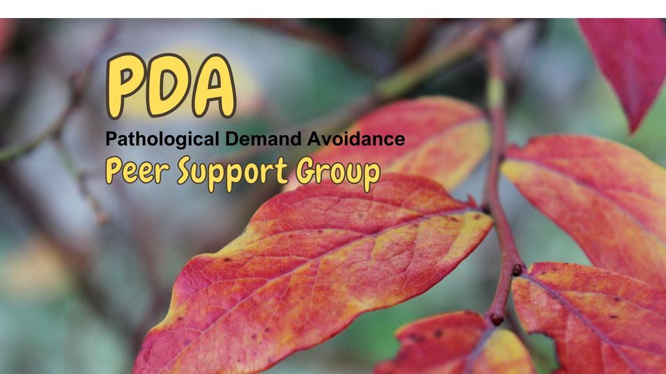 Peer Support Group PDA (Pathological Demand Avoidance), North Surrey, BC, March 20 2024