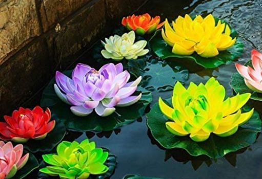 Lotus Group Free Yoga Meditation Ray Yoga Center Llc Naugatuck October 1 21 Allevents In Lotus Group Free Yoga Meditation Ray Yoga Center Llc Naugatuck October 1 21 Allevents In