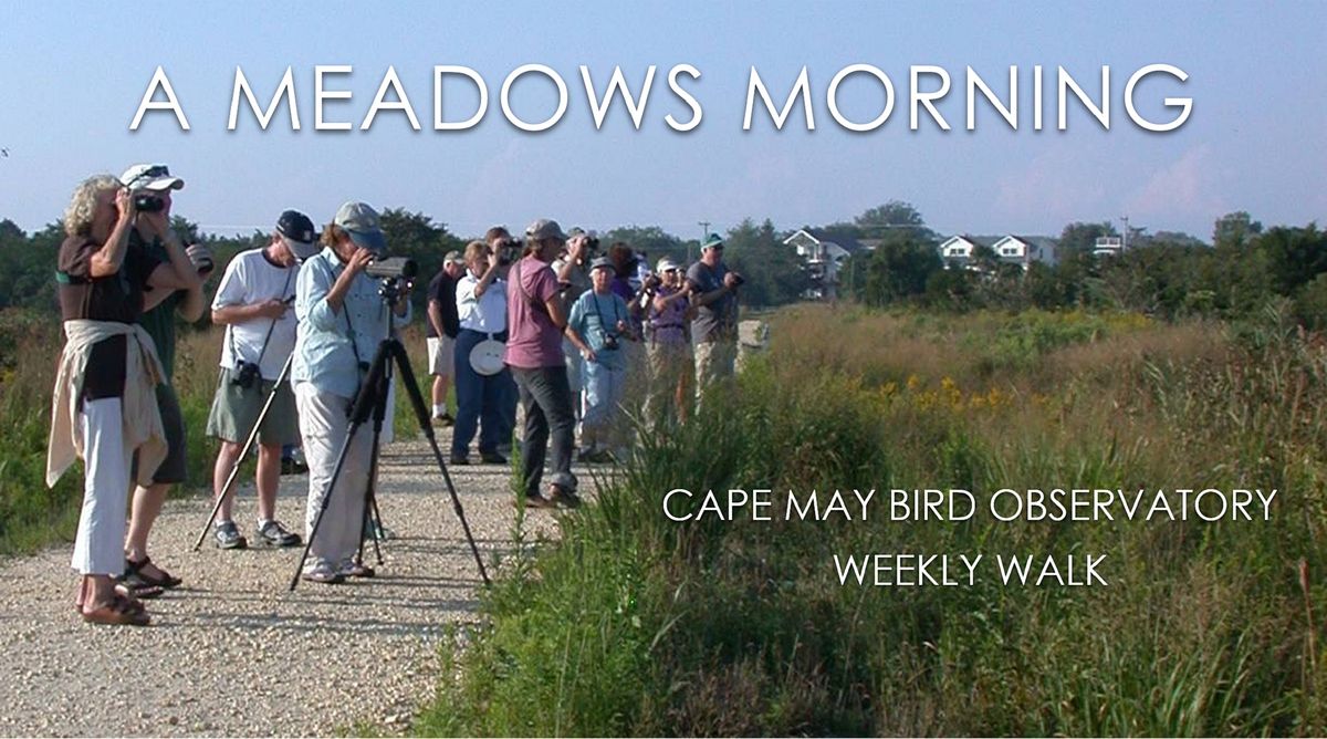 31st July 2021 Events In Cape May Cape May Events July 2022