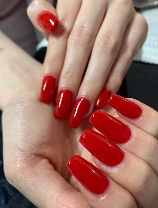 Tropic Christmas party