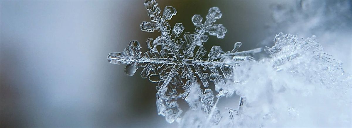 Winter SoundBath with Caitlin Ryan, 6 December | Event in San Francisco | AllEvents