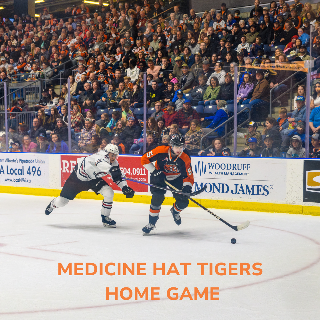 Medicine Hat Tigers at Saskatoon Blades at SaskTel Centre, 23 January | Event in Saskatoon | AllEvents