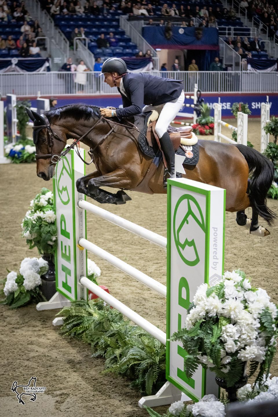 Championship Show Jumping at Coca-Cola Coliseum, 7 November | Event in Toronto | AllEvents