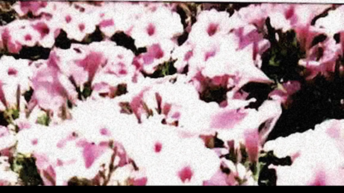 John Moreland, Patterson Hood in Annapolis, 15 March | Event in Annapolis | AllEvents