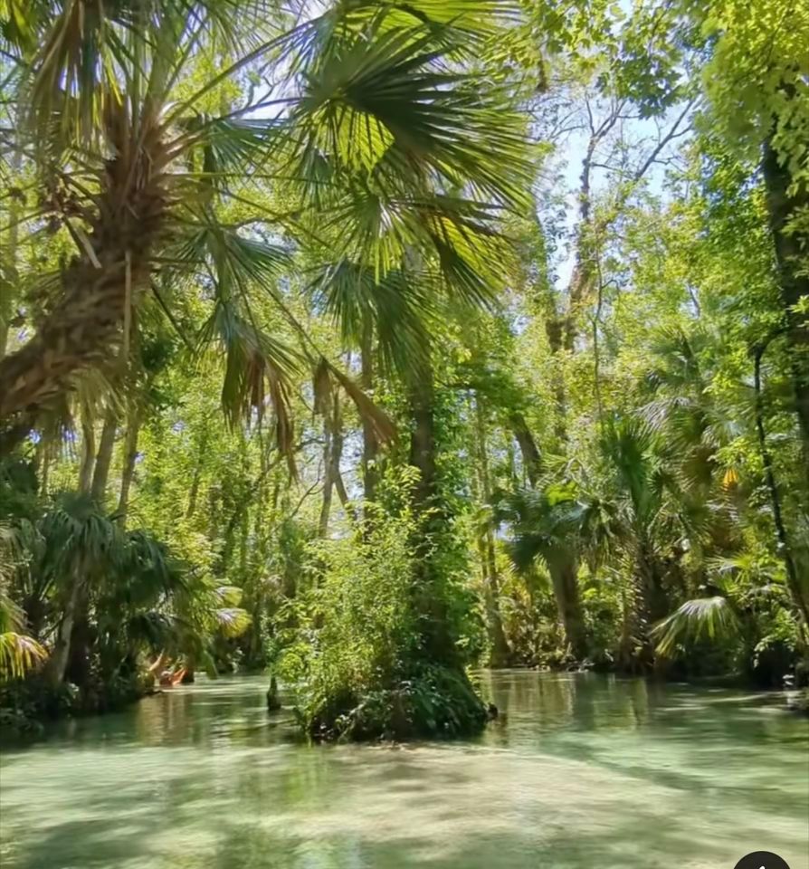 Kings Landing Paddle Adventure , Kings Landing, Apopka, March 9 2024