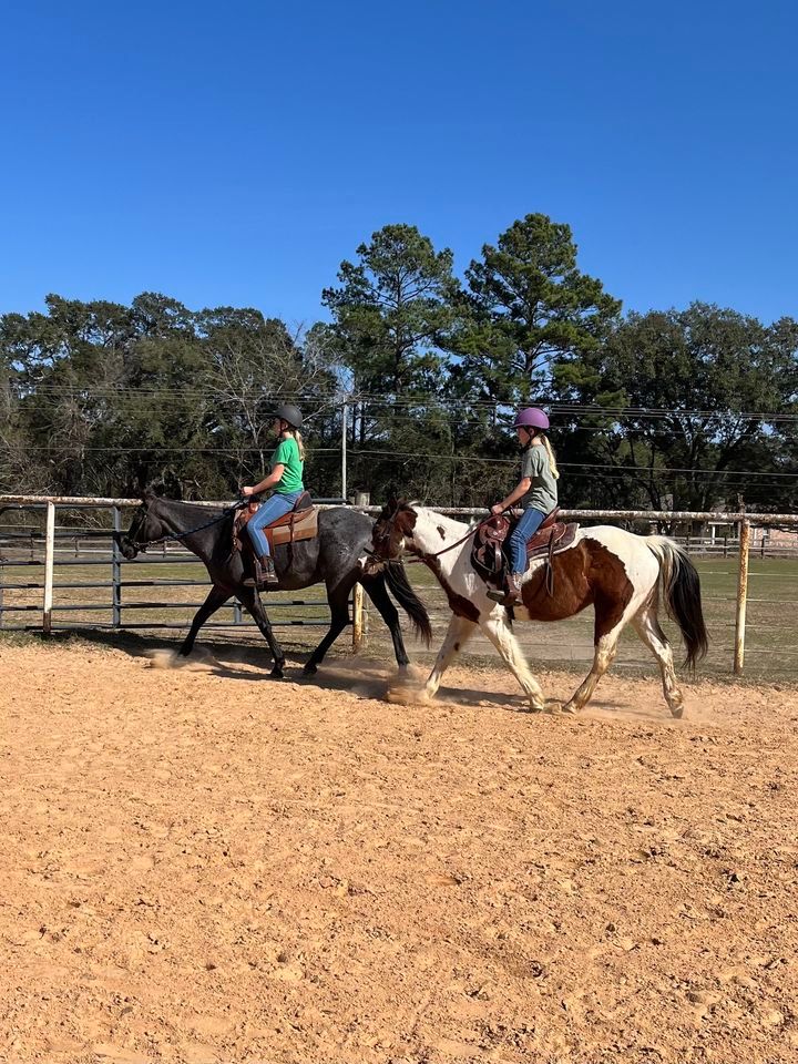 Horse Summer Camp, 41333 CR39, Bay AL 365077057, United