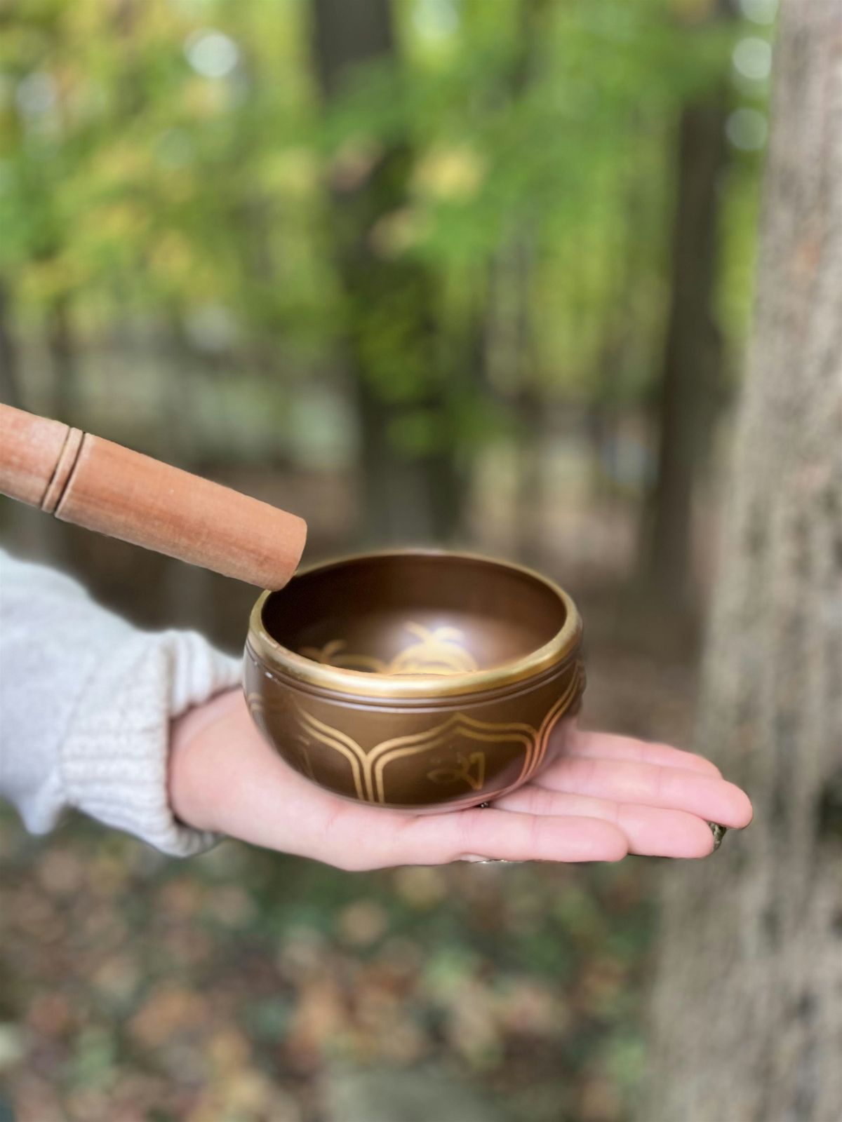 Winter Sound Bath with Immersive Connection CLE, 12 December | Event in Brecksville | AllEvents