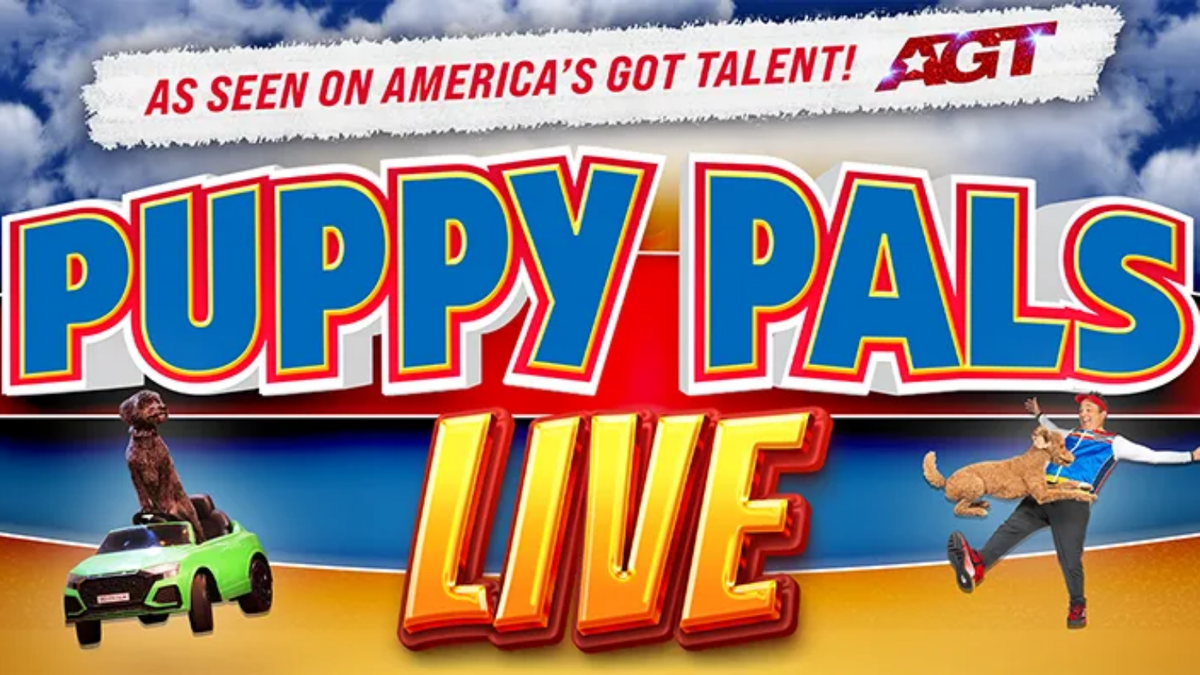 Puppy Pals Live - Lima, 17 October | Event in Lima | AllEvents
