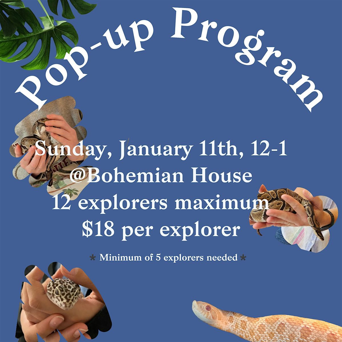 Pop-Up Program, 11 January | Event in Ellicott City | AllEvents