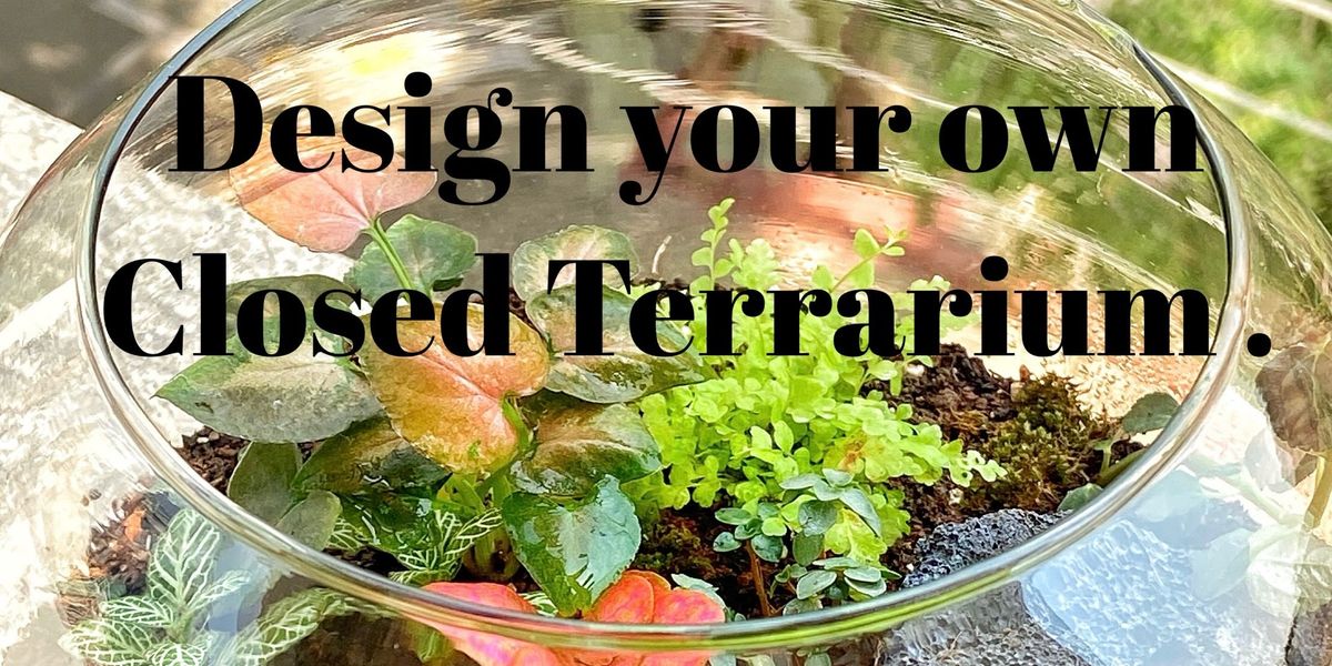 Terrarium workshop