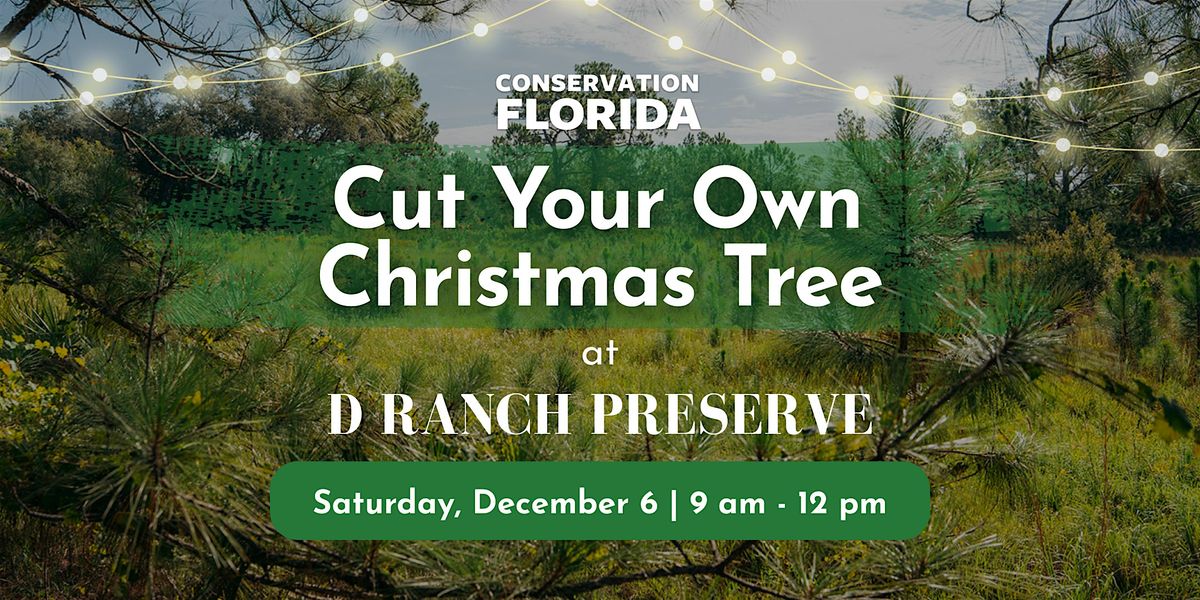 Cut Your Own Christmas Tree at D Ranch Preserve, 6 December | Event in Osteen | AllEvents