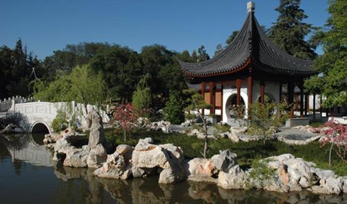 Huntington library gardens Huntington library gardens