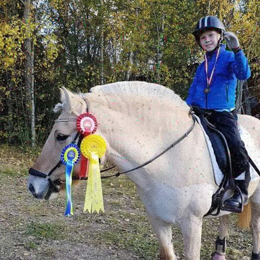 Gront Kort Kurs At Dyltabruks Ryttarforening Frovi