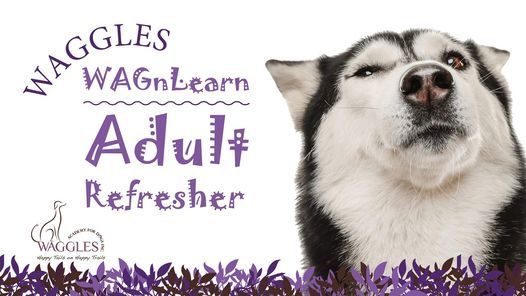 dog training red deer