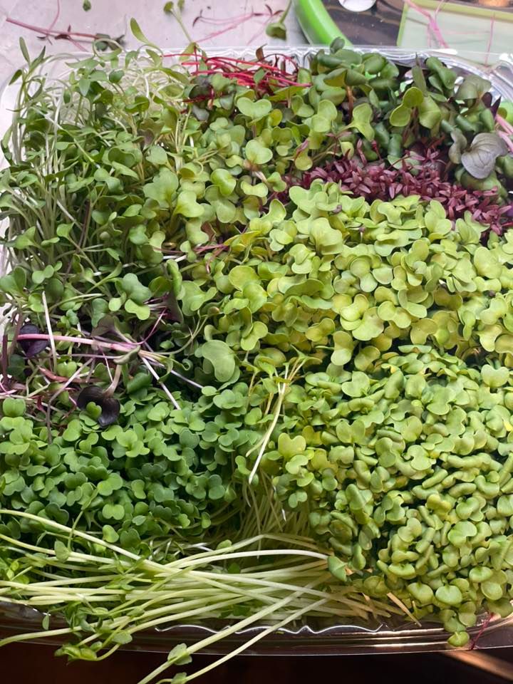 Farmers Market at Forest Park, 299 Sumner Ave, Springfield, MA 01108