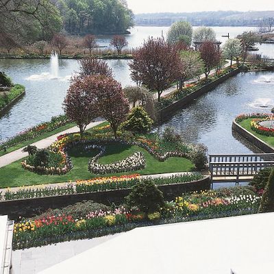 Swan Club On The Harbor logo