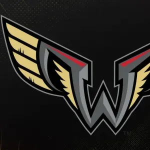 Philadelphia Wings vs. Rochester Knighthawks