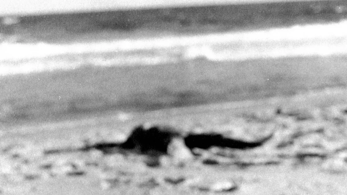 Nando Reis, Arnaldo Antunes in Santo André, 6 March | Event in São Caetano do Sul | AllEvents