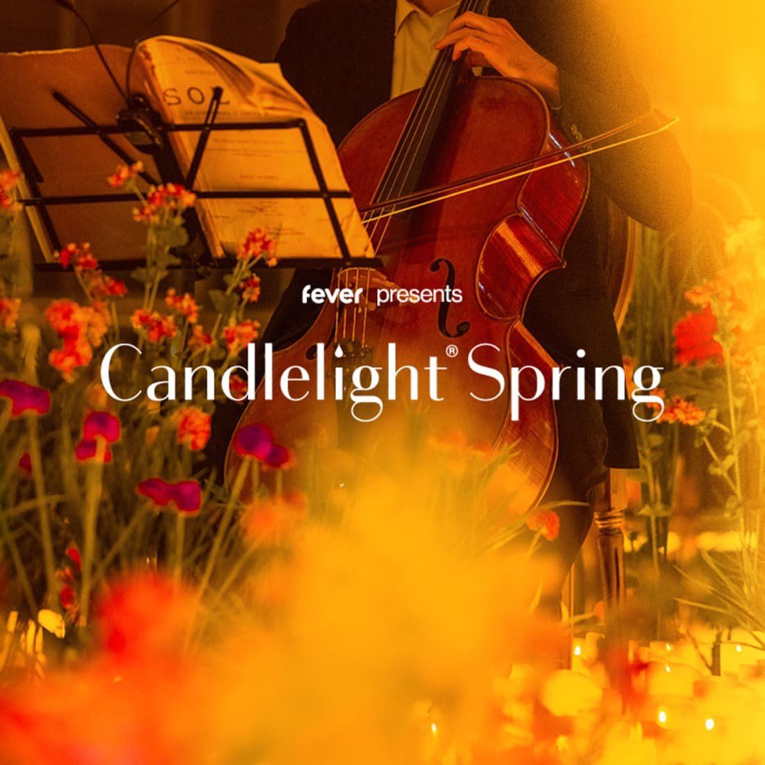 The Candlelight Concert - Whitney at O2 City Hall, 6 June | Event in Newcastle Upon Tyne | AllEvents