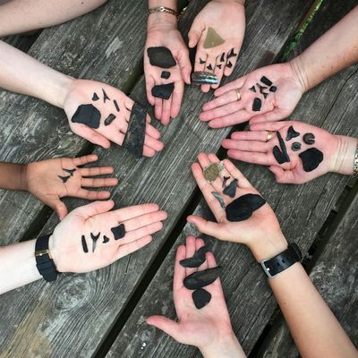 Charleston Fossil Adventures, LLC logo