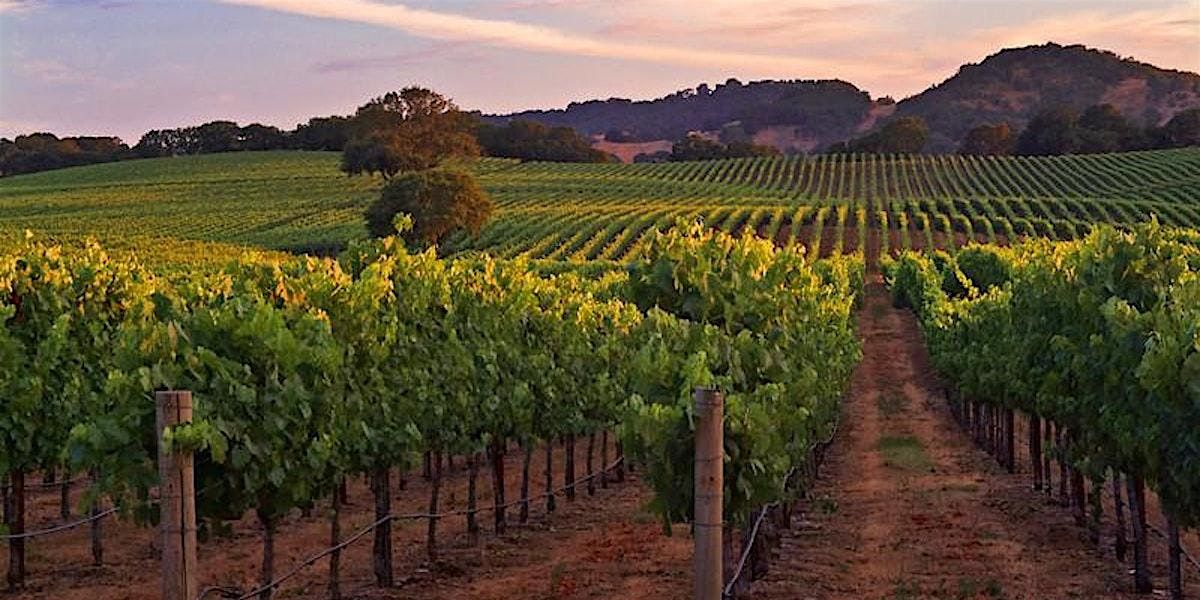 An Evening of Canada’s Best Wines with David Lawrason