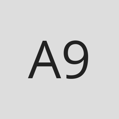 American Legion RIders Post 9 logo