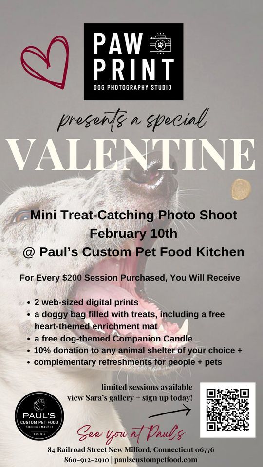 Hilarious TreatCatching Photo Shoot with PawPrint