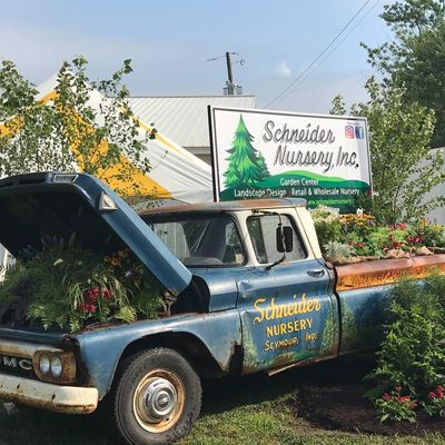 Schneider Nursery logo